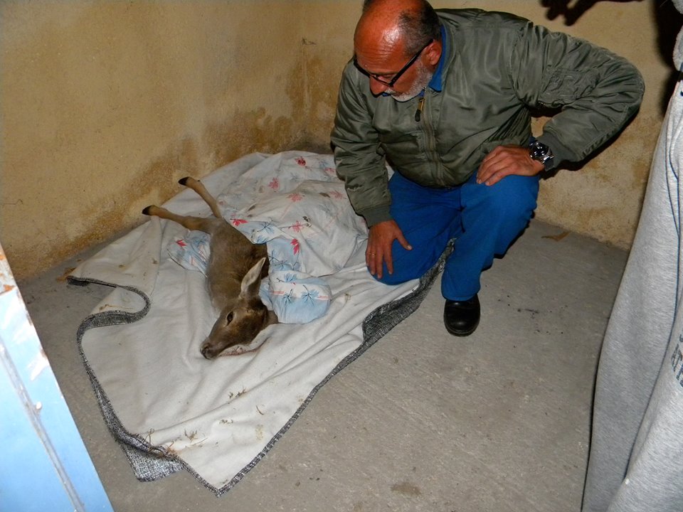 14993302 1130403297080414 4580339723995230695 n