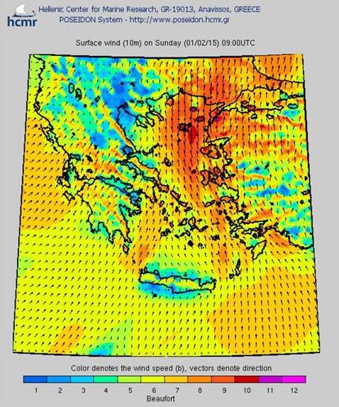 10961875 1574692512768129 1619600779 n