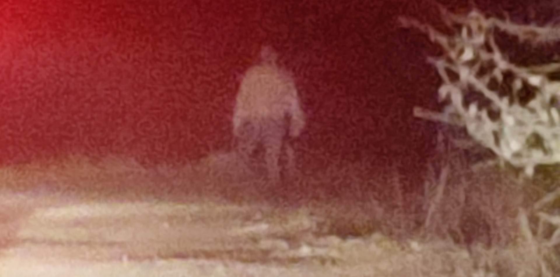 248720C5 6BD9 4035 9E2E 12B8F7A04CF1