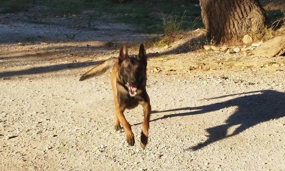 518714802 724304767025632 328058325381089013fdlfpdlpf