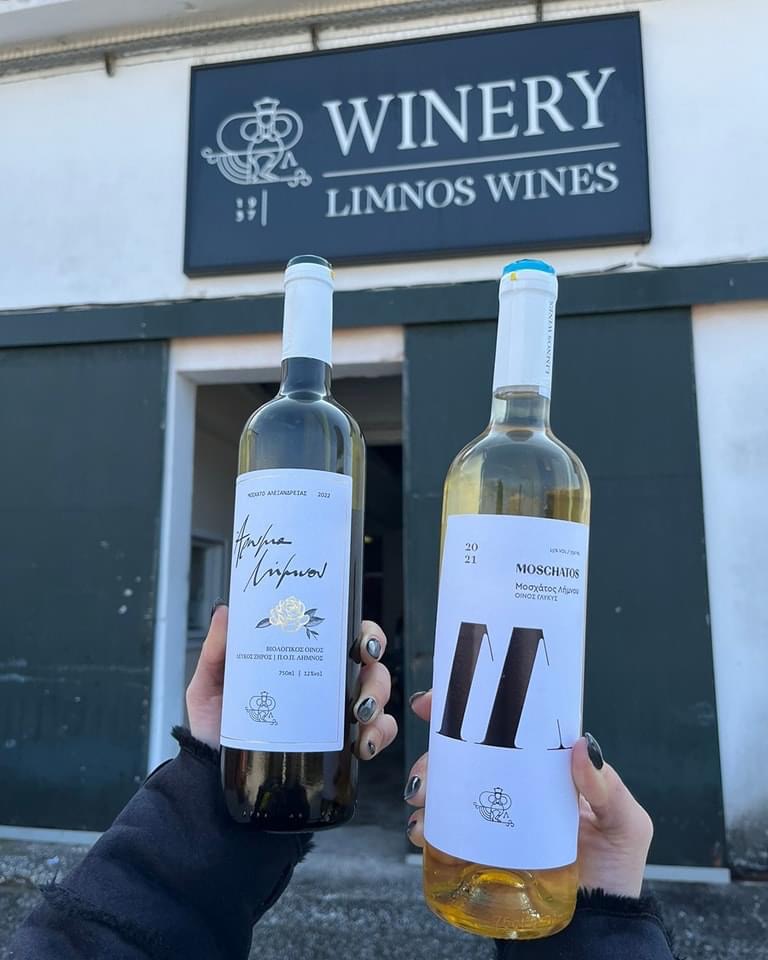 5C76951A 4703 44EB B8CA 3400565B521B