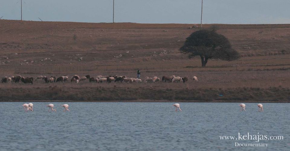 72195471 117728369636278 3309931686422118400 o