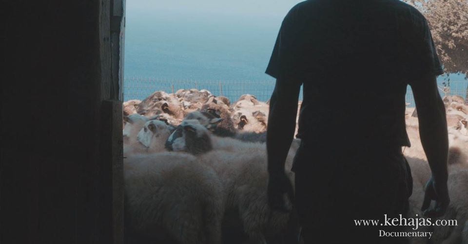 72346061 117728189636296 7501371716329799680 o