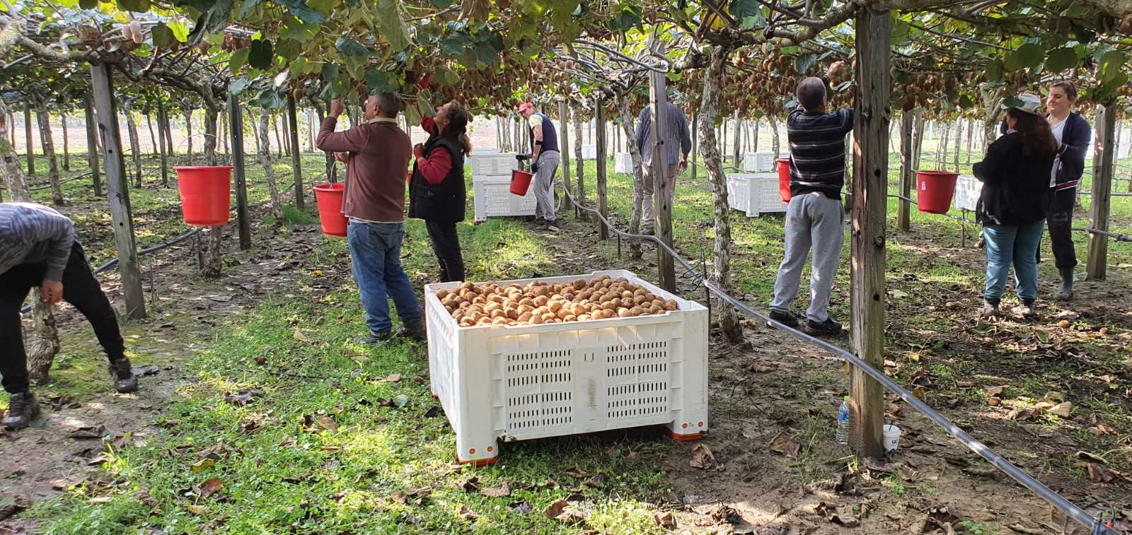 A5023D7F 557D 4CCB 9333 59FC5B1083DC