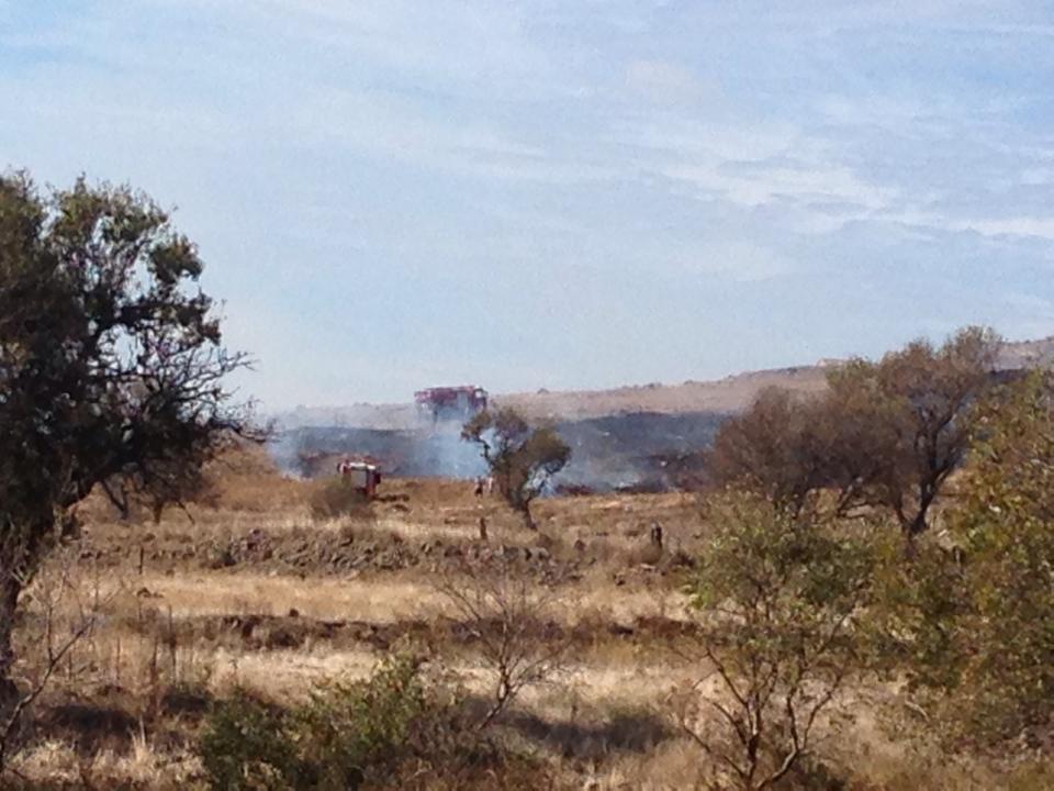 14657346 652850161562265 7661458111586670714 n