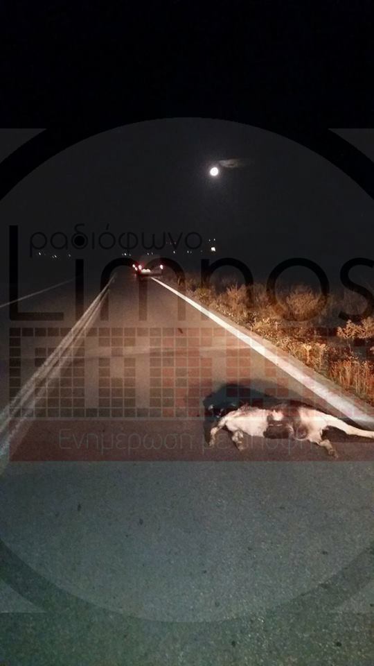 15032382 1776420275951321 1574915804 n