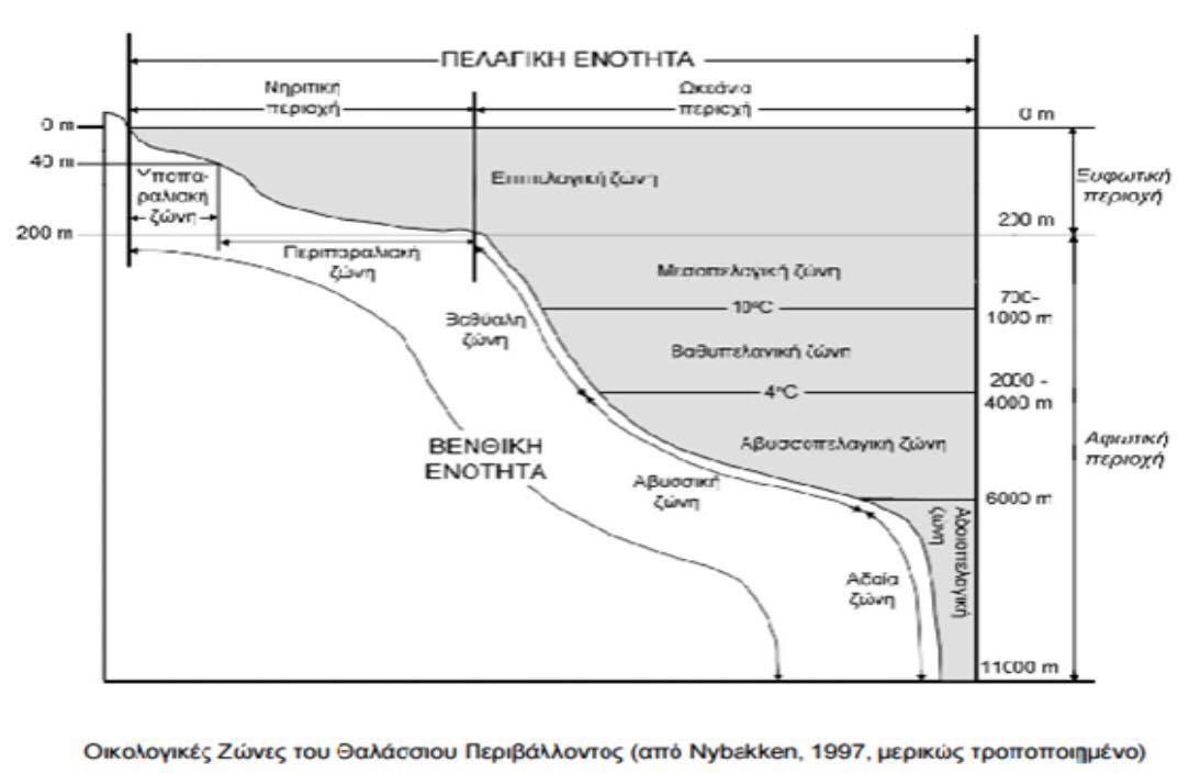 16523936 10203042056127888 1309184519 o