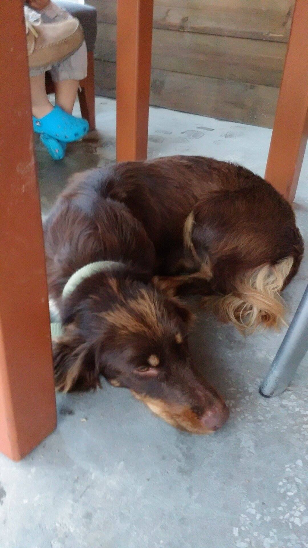 19369106 10210895911086200 1773510244 o