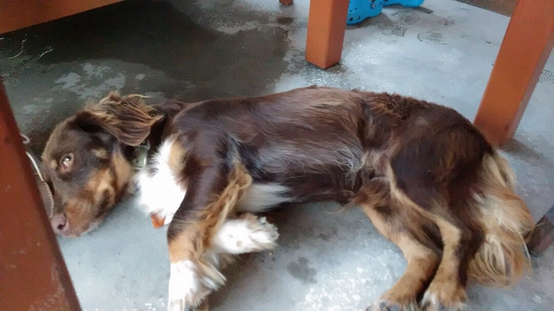 19369402 10210895911926221 1201326739 o