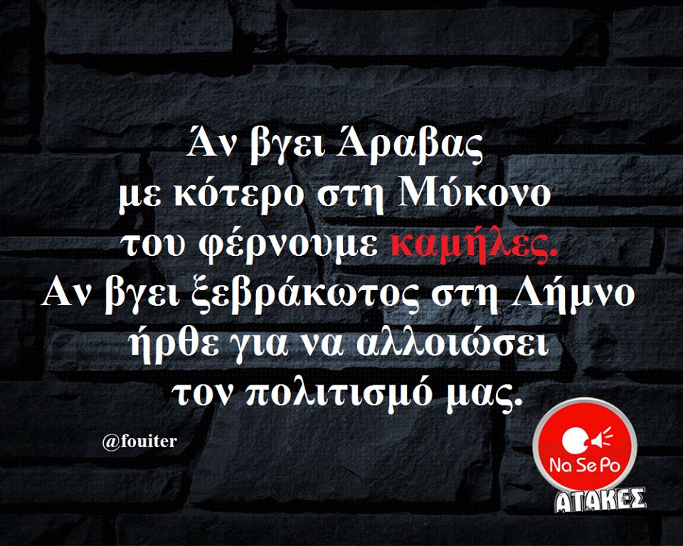 21231219 1880199982019962 327226438587793583 n