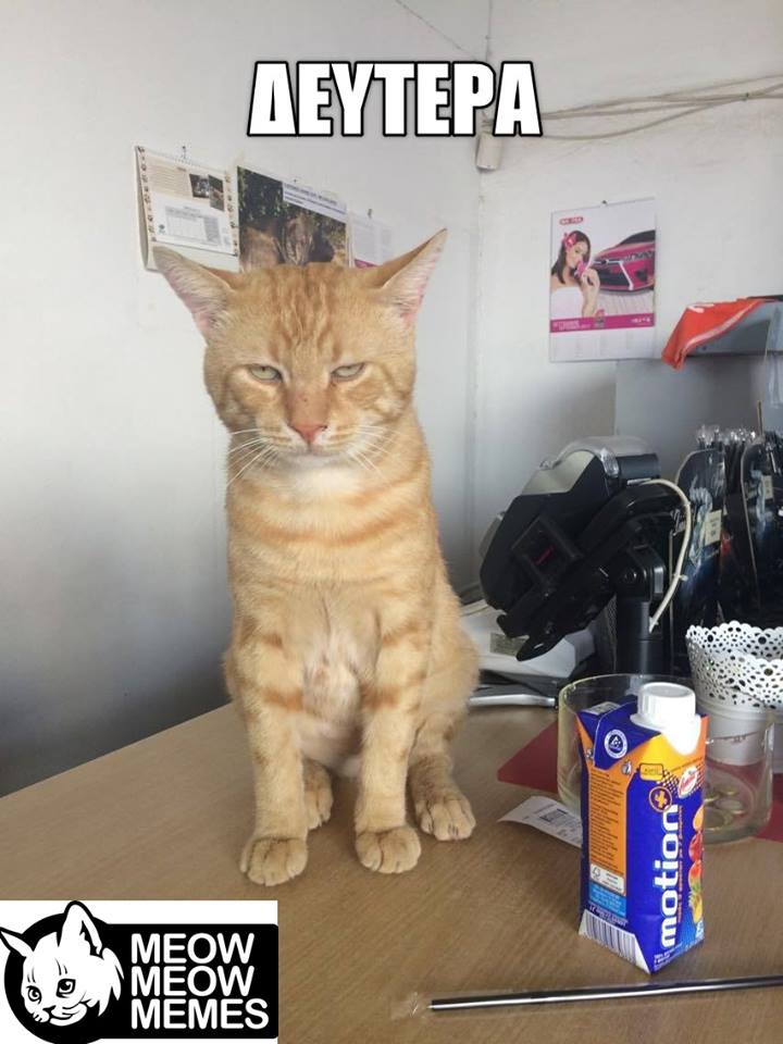 21369513 1421048147992877 8261655905762410397 n