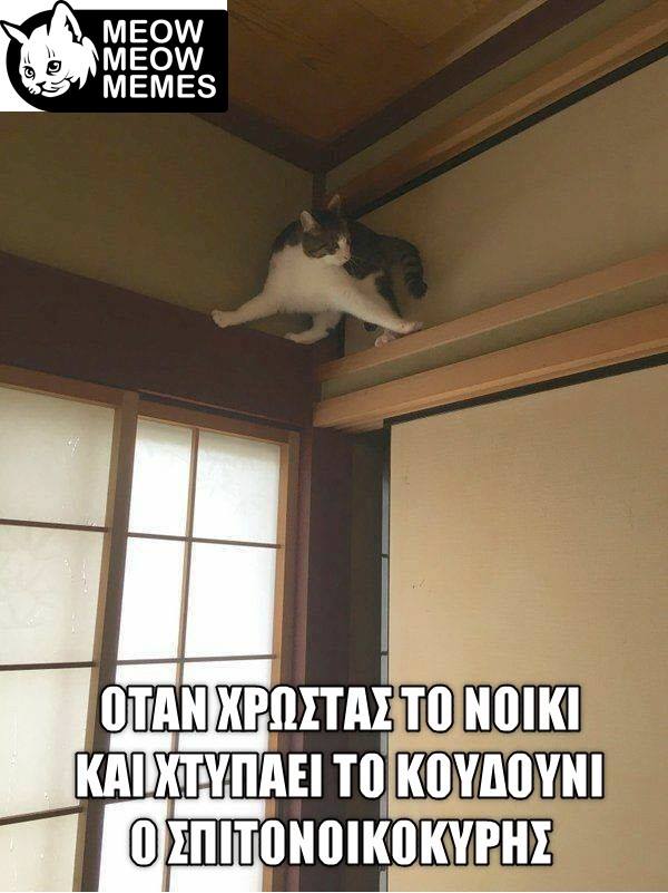 21433173 1423042564460102 1171650845193077495 n