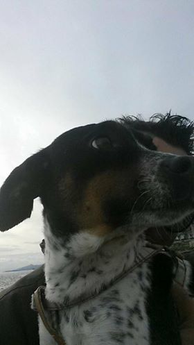 22016296 509564516061319 164357842 n