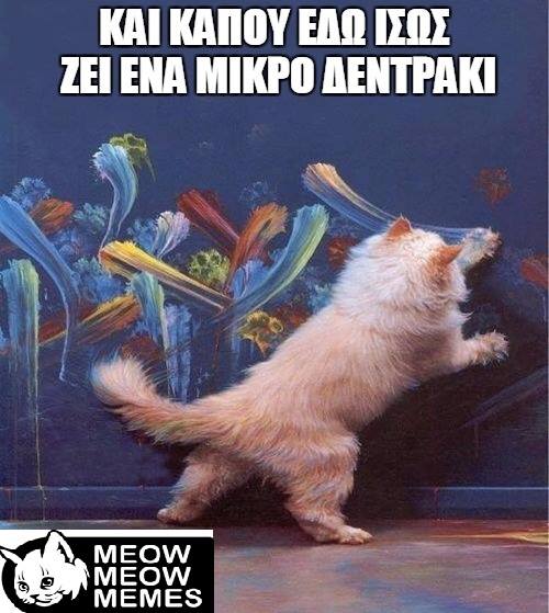 22089023 1436834876414204 1416933305965018995 n