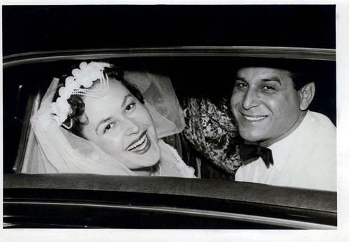 assets LARGE t 1401 5198301