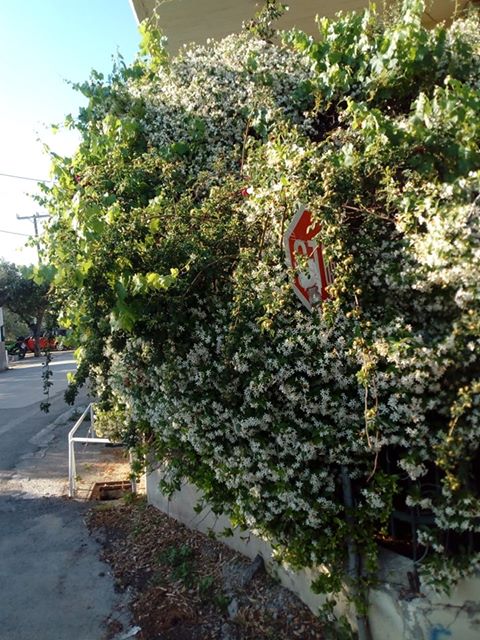 103154028 571719860437600 8767997680525759550 n