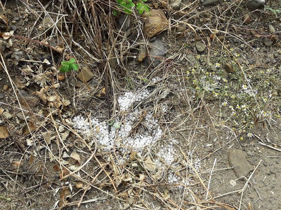 105593149 594058404857068 4996492725446261027 n