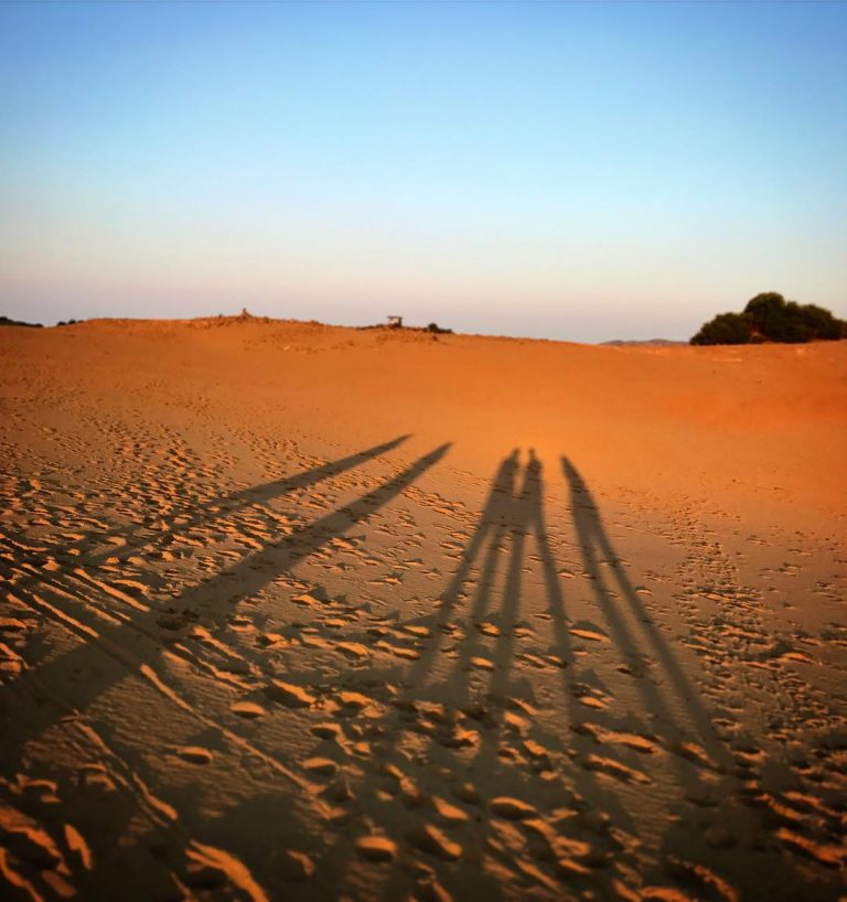 19624257 263964354081459 3354486173912268800 n 768x818