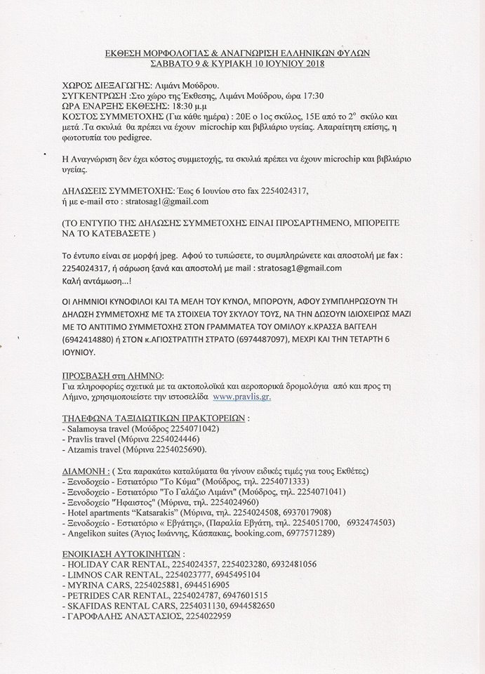 32371925 1687473087955173 848475934695620608 n