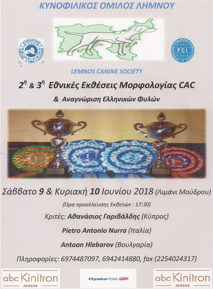 32467732 1687472051288610 7462761699800514560 n