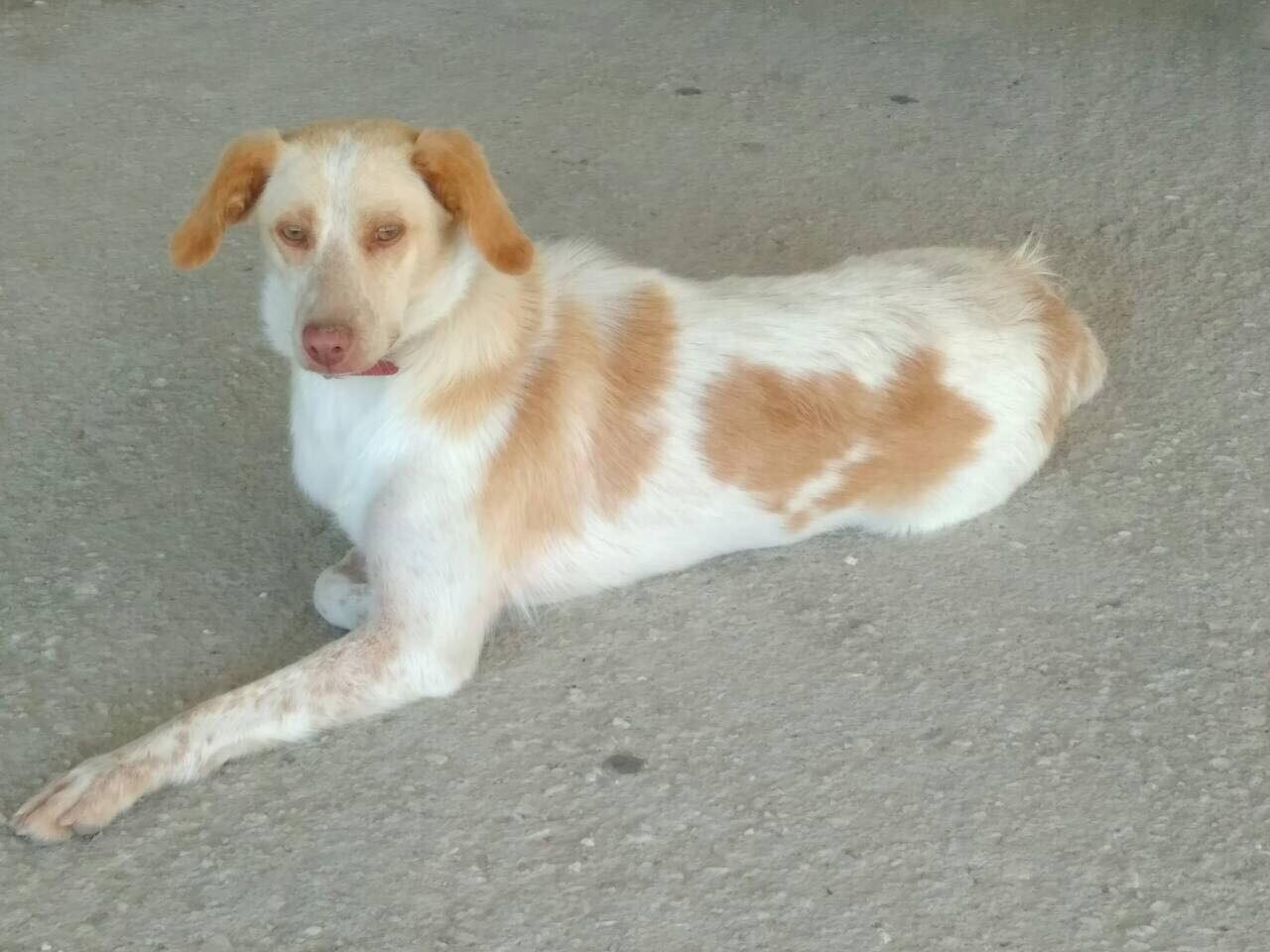 40463926 265715217400266 3679161735572357120 n