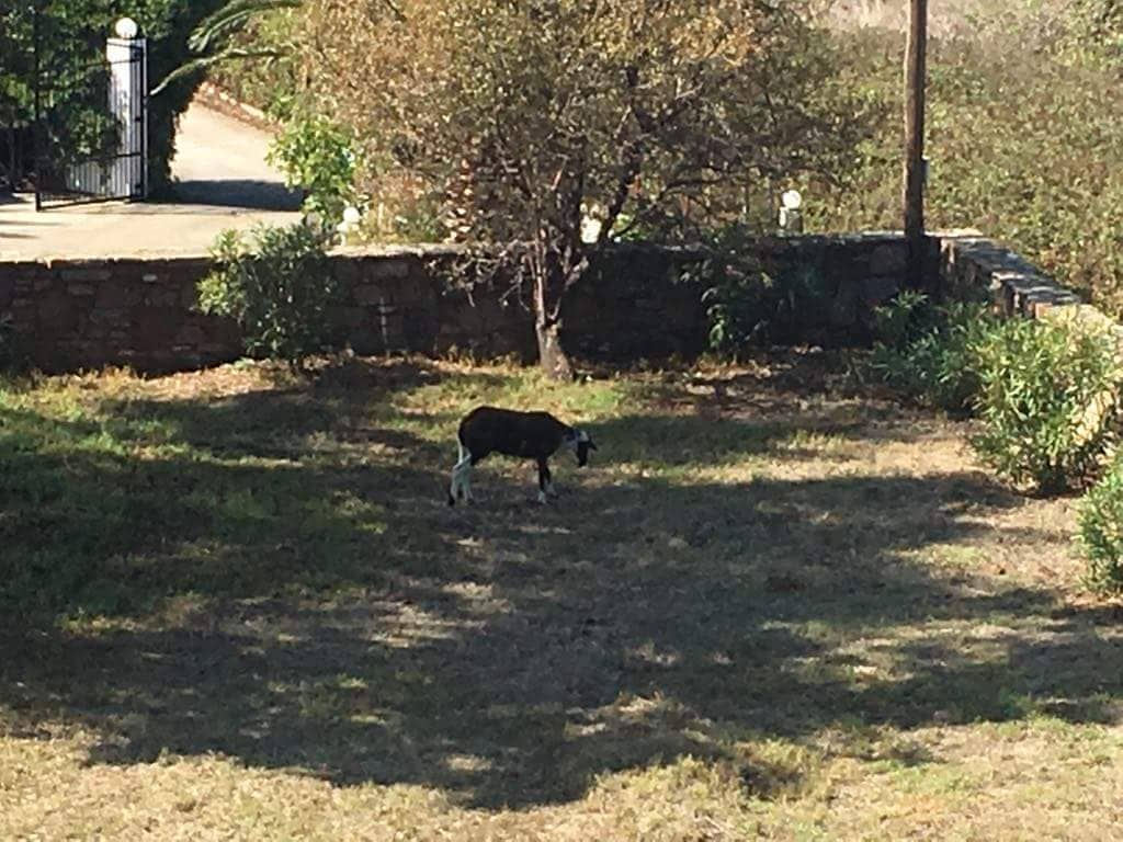 42990396 2179616285585627 1325780005396938752 n