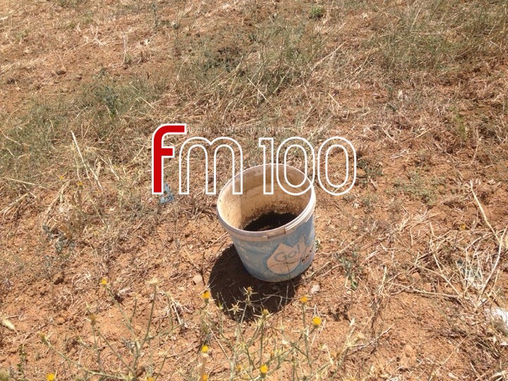 68247829 1042405162817210 8358695129036357632 n