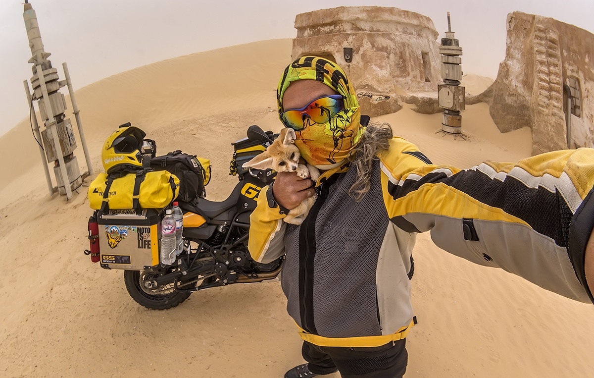 Hapsis 26 Desert fox