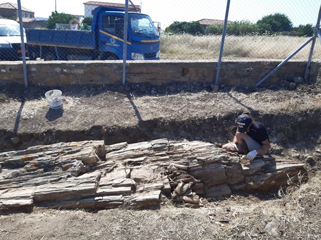 apolithomenos kormos varos limnos 1