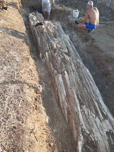 apolithomenos kormos varos limnos