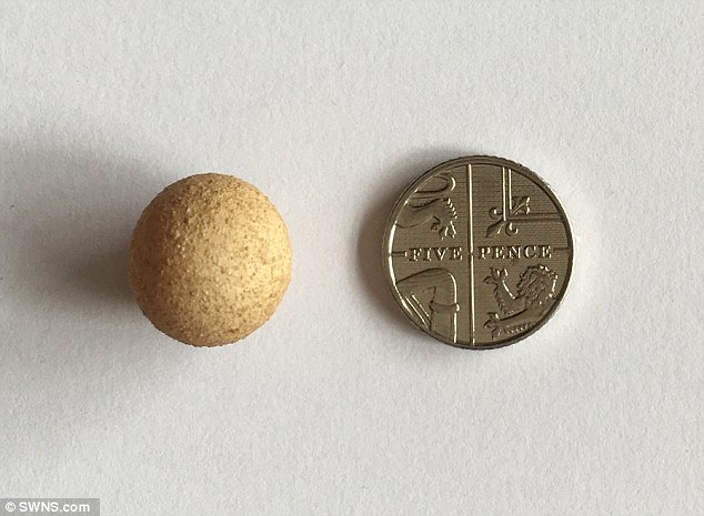 egg in the world1