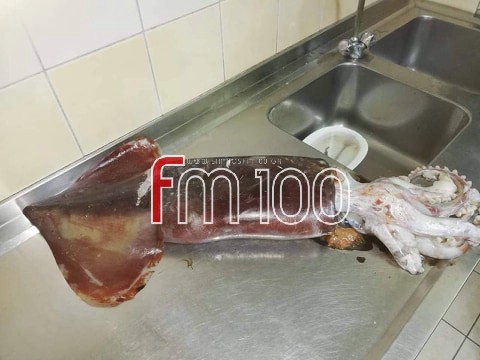 gigantio kalamari limnos