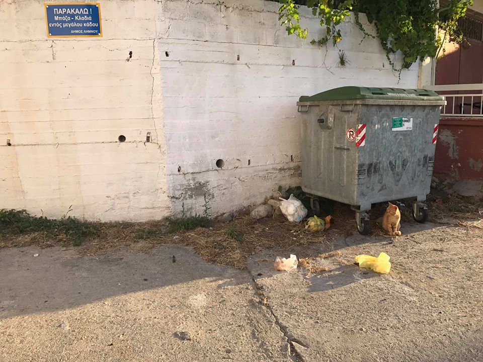kallithea skoupidia