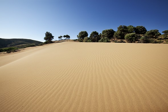limnos ammothines