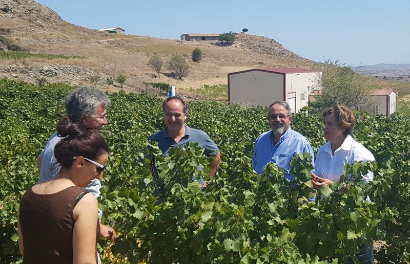 oinopoieio gkaralis kalogirou limnos