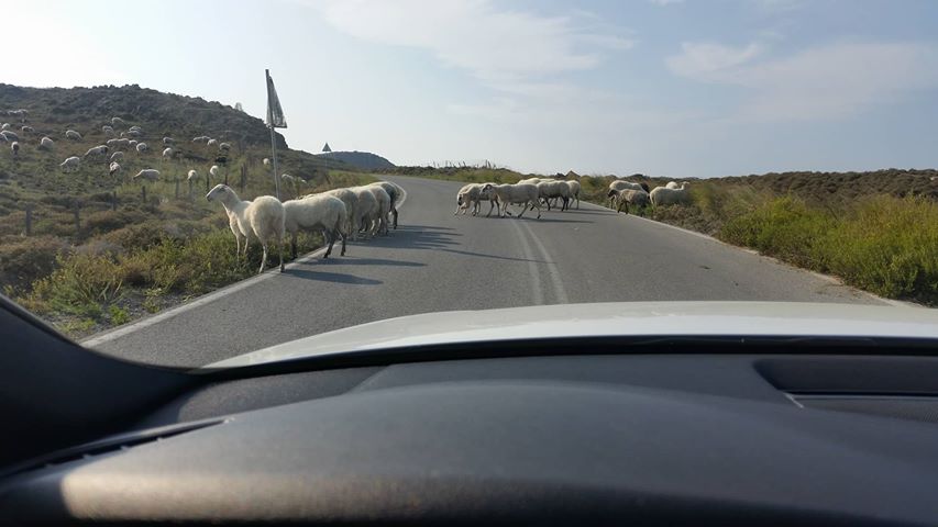 provata kindynos limnos1