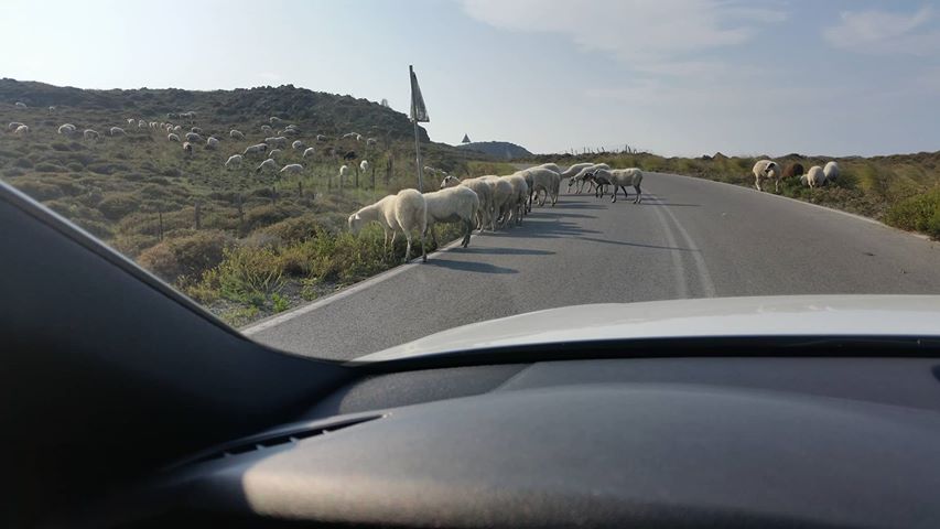 provata kindynos limnos2