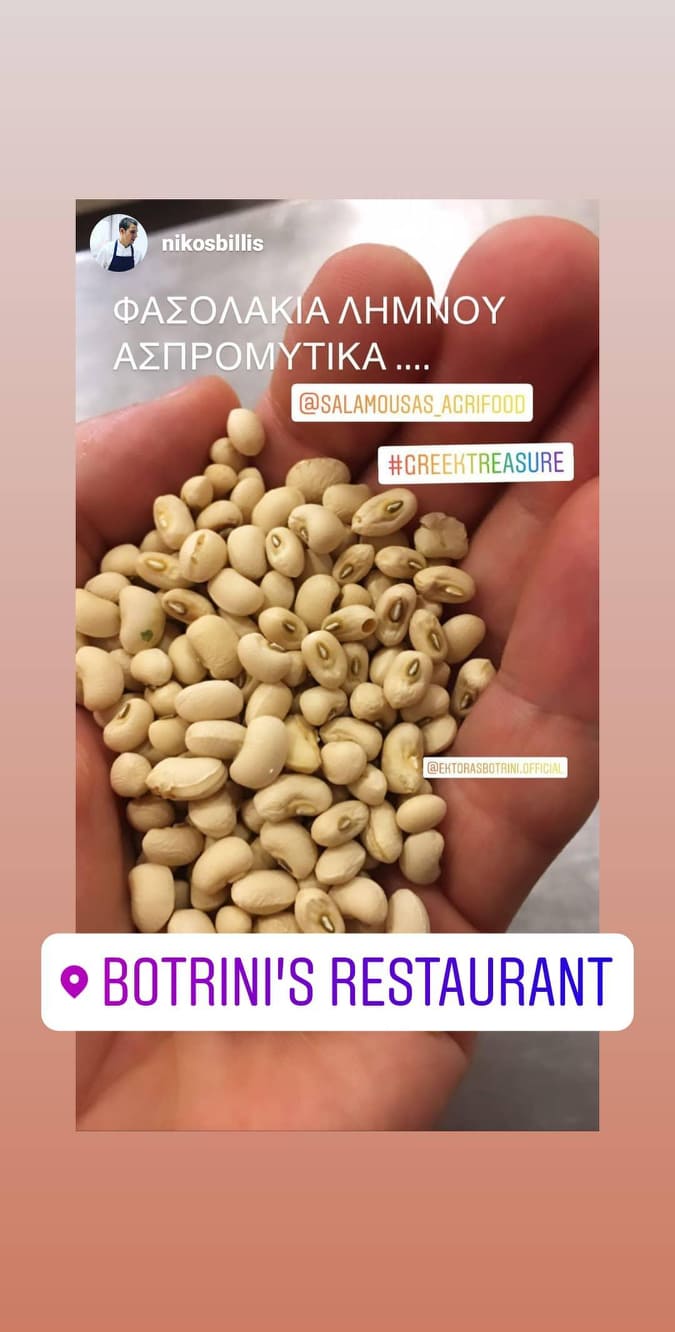 salamousas agrifood botrinis restaurant