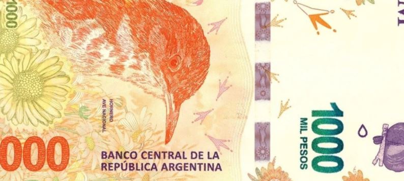 xartonomisma 1000 pesos