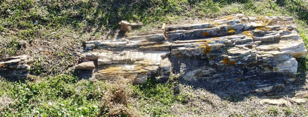 apolithomata limnos 3 0