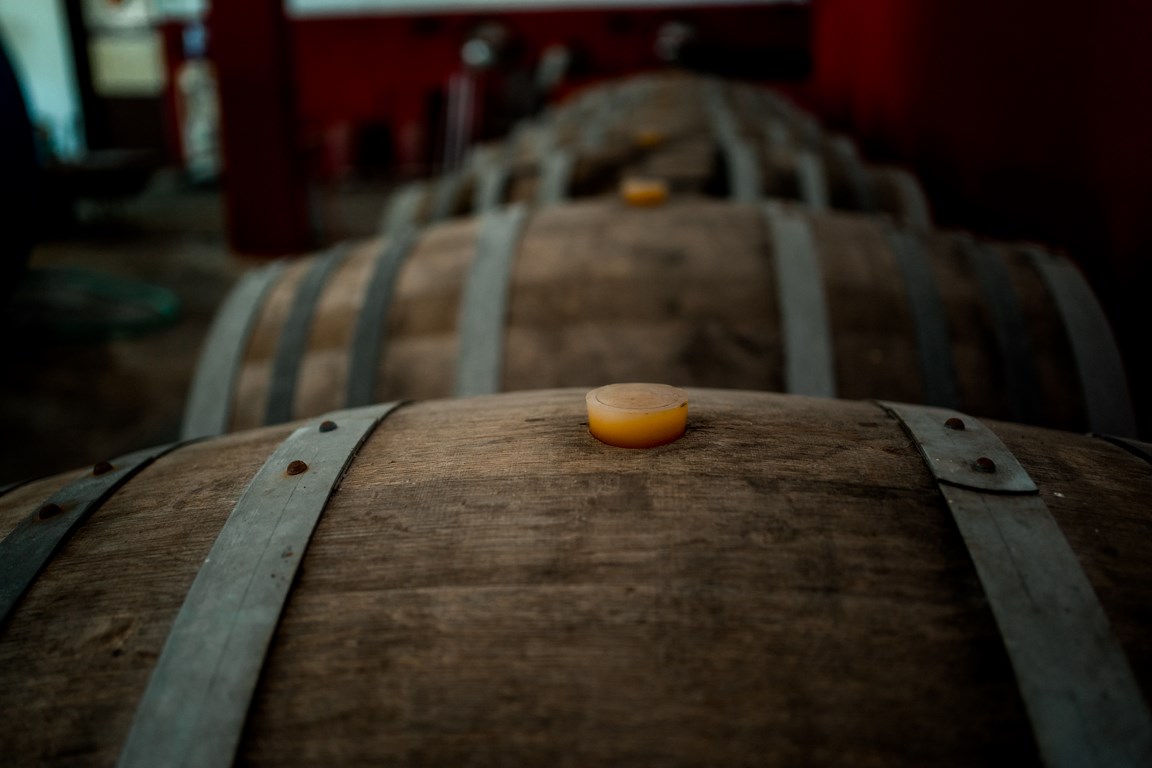 Nikos Karanikolas Lemnos Philema Limnos wines 4
