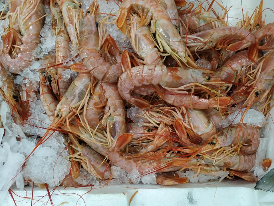 garides
