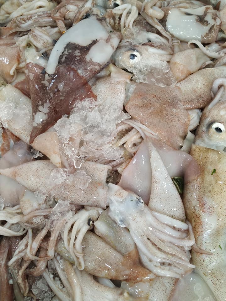 kalamaria