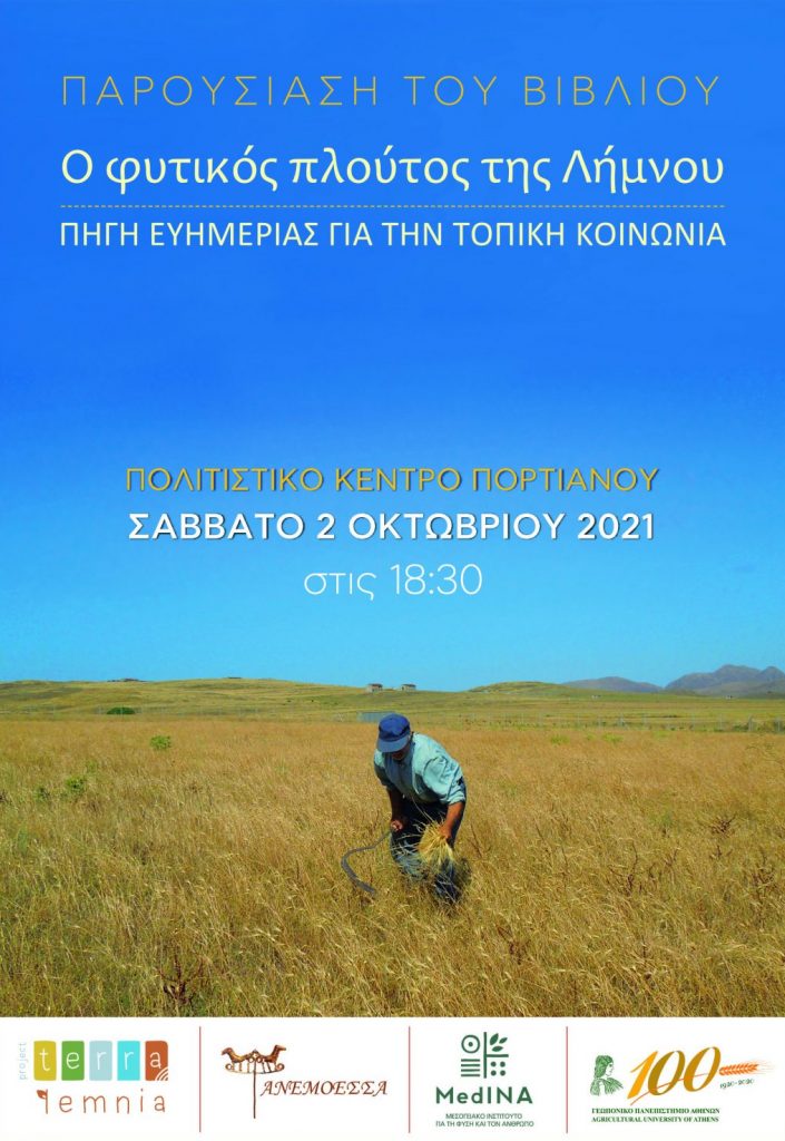 poster medina