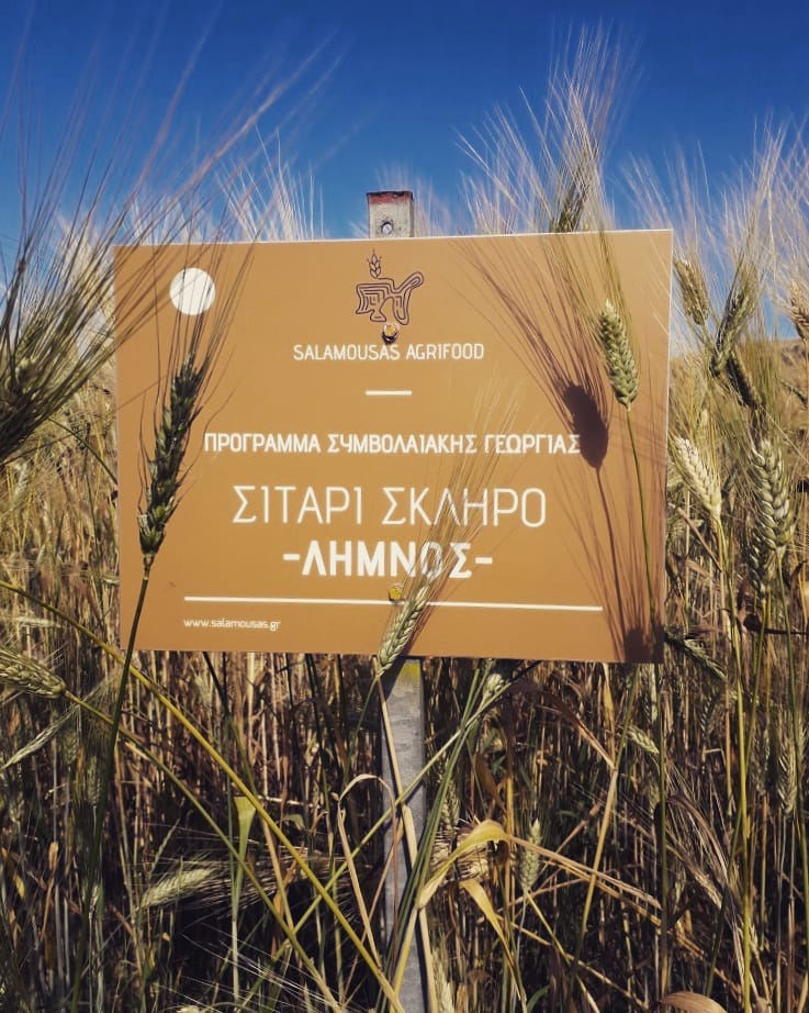 salamousas agrifood sitari skliro