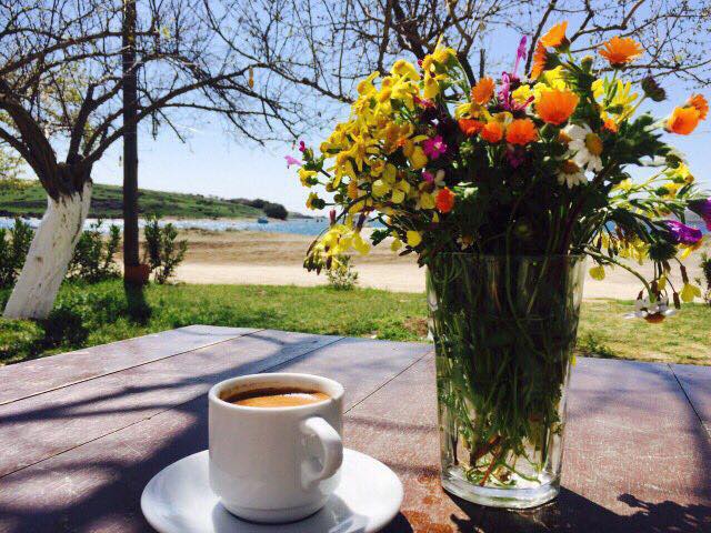 18194148 1897378453817701 3131082249886836292 n