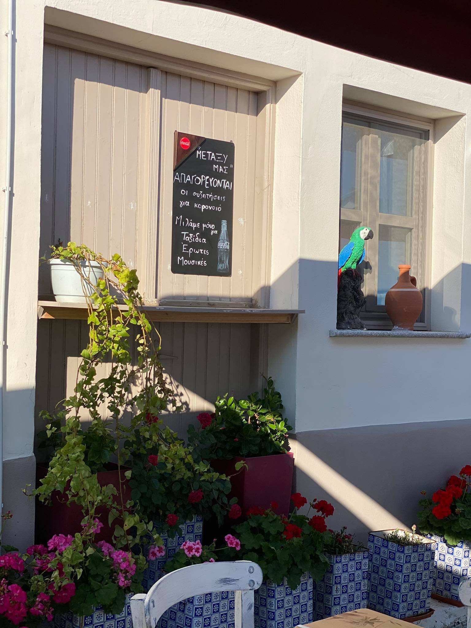 193240532 563682687949866 3626757381490978190 n