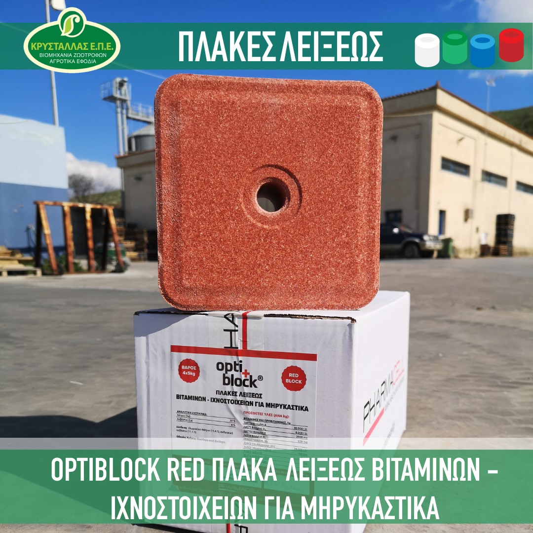 225906753 2551547795141290 4105976775144151425 n