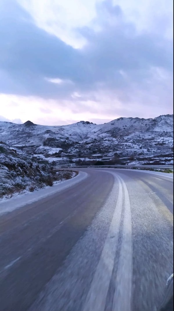 269607580 361960242427654 3398953544299402550 n