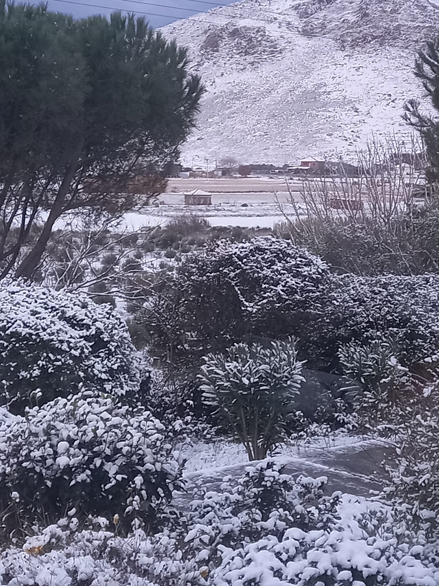 272329121 1957211537784457 7609237263948346462 n